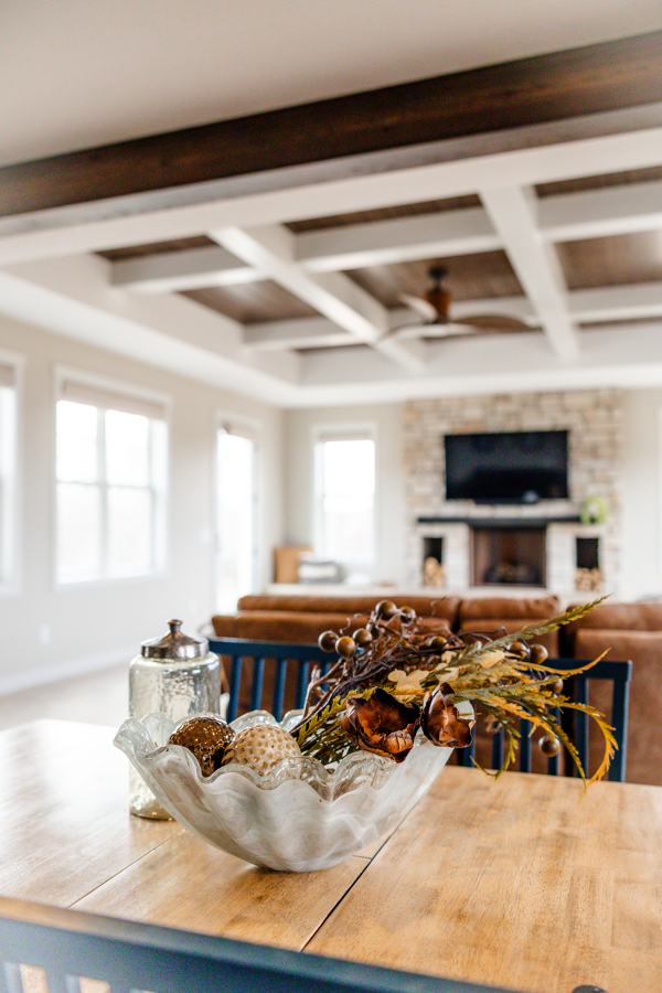 Wood Burning Fireplace Living Room Addition with Tray Ceiling 