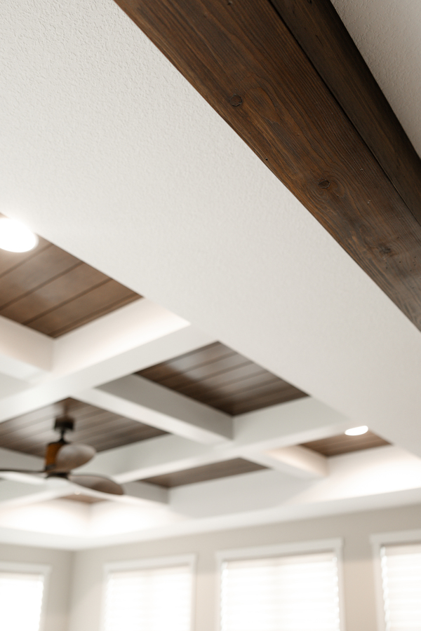  Living Room Addition with Tray Ceiling 